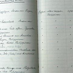 bu-01691_bis_1711-0 katalog band02 waffen